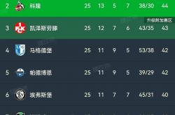 华体会注册-包含汉堡球队逐渐崭露头角，明星球员表现出色的词条