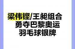 华体会网站入口-法国代表队勇夺银牌，演绎佳话传奇的简单介绍