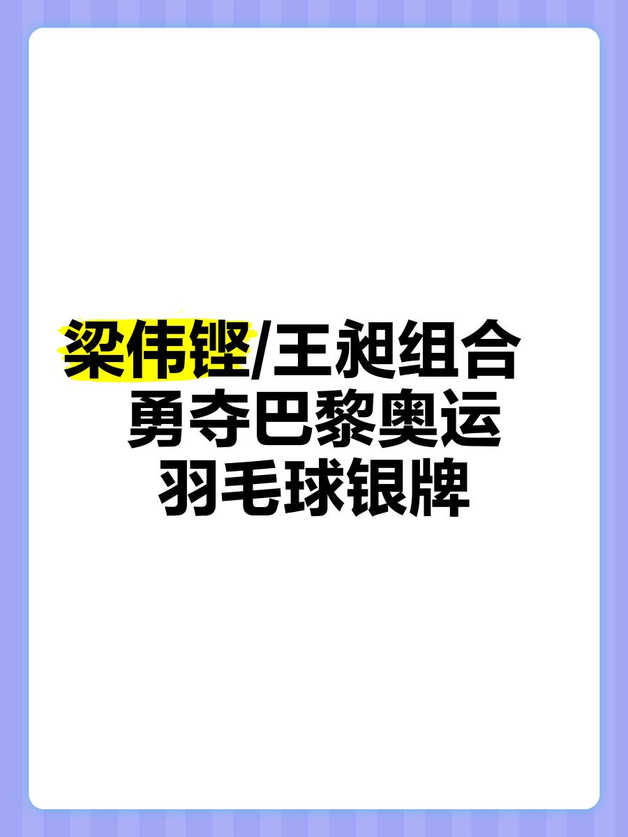 法国代表队勇夺银牌，演绎佳话传奇的简单介绍